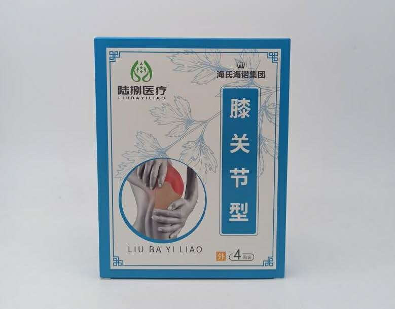 海氏海诺*膝关节型
